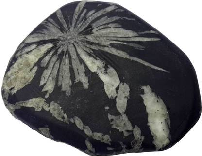 SATYAMANI chrysanthemum stone Regular Asymmetrical Crystal Stone