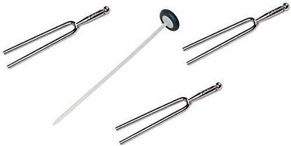 ARI Flexible Reflex Hammer Queen Square Pattern+Tuning Fork (128Hz + 512Hz + 1024Hz) Set of 4 Neurological Surgical Hammer