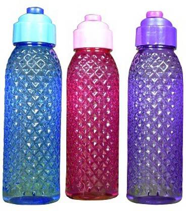 SKP SCHOOL 500 ml Water Bottles
