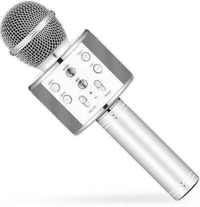 DAYNEO silver mic Microphone