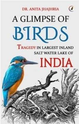 A Glimpse Of Bird Tragedy In Largest Inland Saltwater Lake Of India