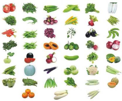Inndica florina Vegetable seeds combo, 40 variety seeds, Hybrid Seeds Seed