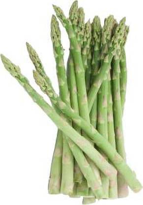 Greenery Hub Asparagus seeds, bamboo stick seeds Seed