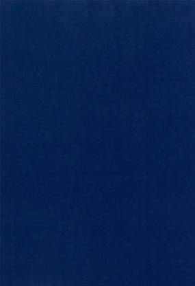 snow crafts SINGLE COLOUR UNRULED A3 150 gsm Coloured Paper