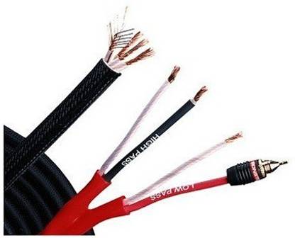 Monster Stereo Audio Cable 3 m Z2B ML-C10 Biwire Center Channel - Audiophile Speaker Cable with Lock Master Pin (10 ft.)