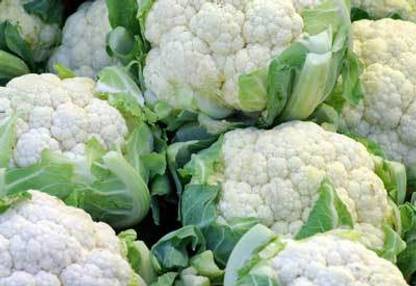 Naaz Noble NBR-Early Kunwari Cauliflower Seeds Seed