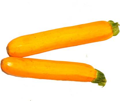 Zucchini - Yellow