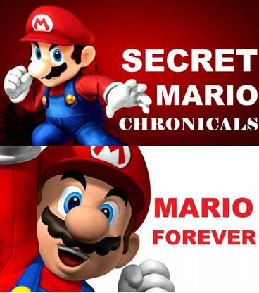 BEST 2 MARIO GAMES (OFFICIAL PC GAME)