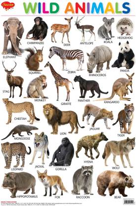 Wild Animals Wall Chart