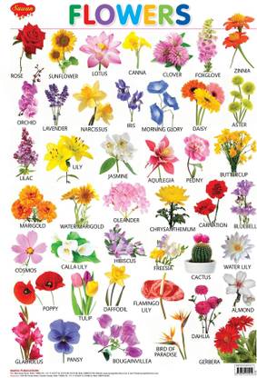 Flowers Wall Chart
