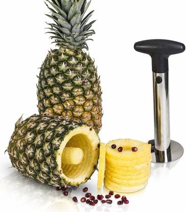 PAVITYAKSH Pineapple Eye Remover Instrument - Eye Peeler, Viable Seed Remover Clip Slicer Pineapple Slicer