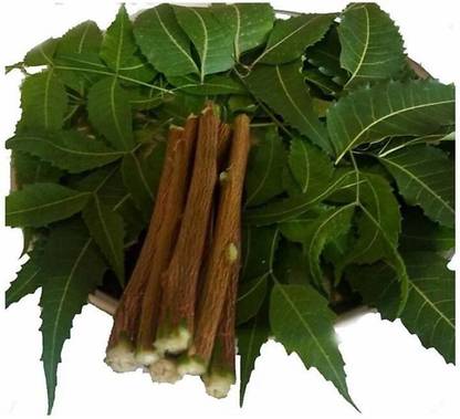 Natural Neem Tooth Stick Neem Datun Soft Toothbrush