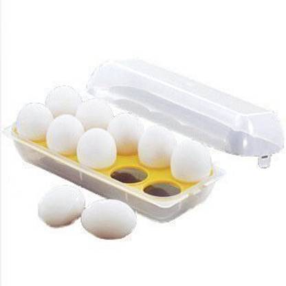Darsi Egg holder Egg Holder