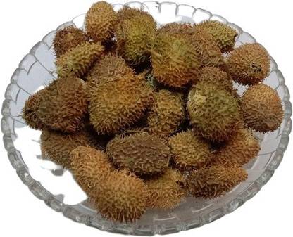 Kesariwala BINDAAL DODA - DEVDALI - LUFFA ECHINATA Seed