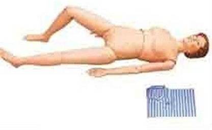 Labgo Nursing Manikin Anatomical Human Model Education 0 Aa 1