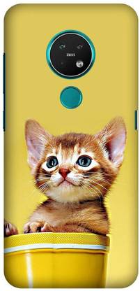 Flipkart SmartBuy Back Cover for  Nokia 6.2