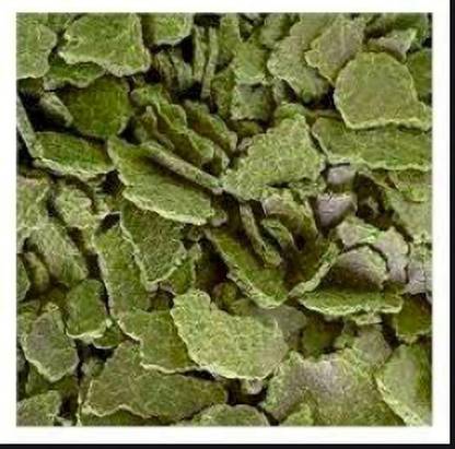 Dayal Udhyog Mustard Cake 1 Kg Pack Fertilizer