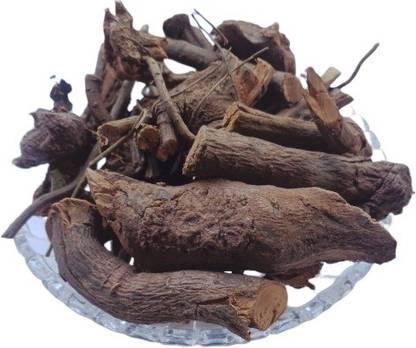 Nutrixia food Chitrak Roots,Chita Mool,Chita Jadd,Plumbago Indica Root Seed