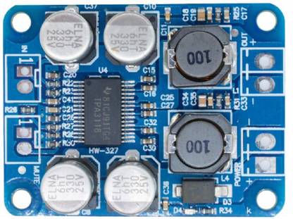 Salcon Electronics Digital Amplifier Audio Board Stereo Class D, 5V, 12V, 24V high Power (TPA 3118 Mono) Mono Class D Car Amplifier