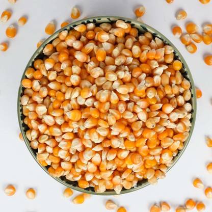 MINIMALL SUPER MARKET Corn Kernels for Popcorn-Cinema Style & 100% Popping Kernels Corn Kernels Popcorn