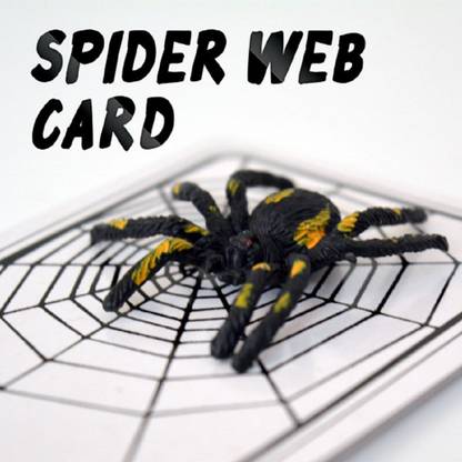 MilesMagic The Spider Web Card Gimmick Magician's Scariest Undetectable Spider Magic Trick Spider Gag Toy