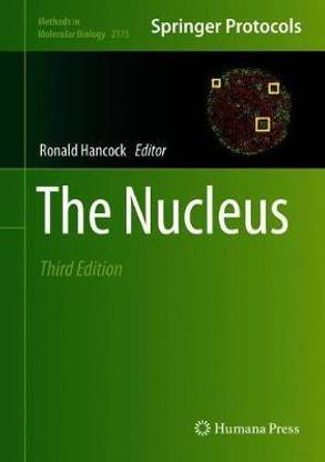 The Nucleus
