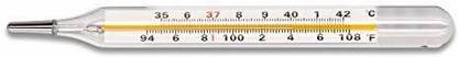 Dr. Odin Clinical Oval Mercury Thermometer for Professional and personal use Pack of 2 | C & F Temperature |Home & Clinic Thermometer