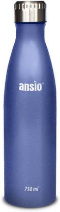 Ansio Stainless Steel Fridge Water Bottle 750 ml Steel Bottle