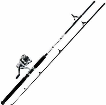 daiwa fishing reel and rod