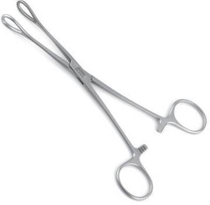 Saksham SPONGE FORCEP 8 INCHES Sponge Forceps