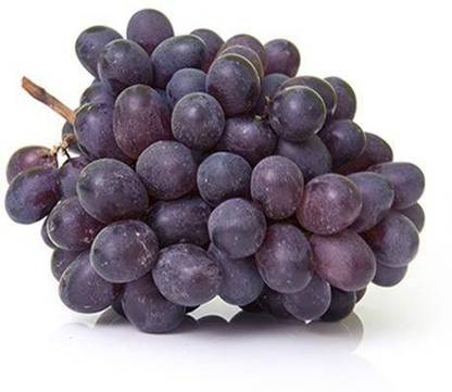 Grapes - Bangalore blue