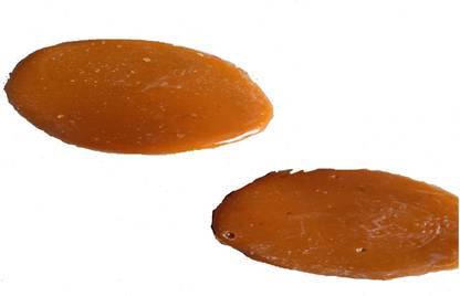 GALA Varnish Stain Wood Stain