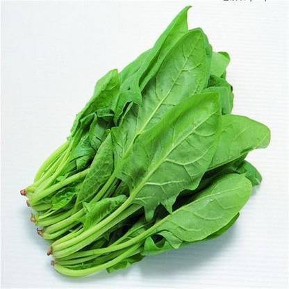 Paudha Spinach Seed