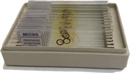 AIM Meiosis Onion Buds ME 01 Microscope Slide Box