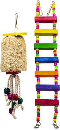 GREENBIRDS Climbing Perch Bird, Guinea Pig, Hamster, Mouse, Rabbit, Squirrel