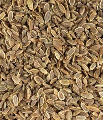 myhobbygarden Dill Leaves-Saava Sabsige soppu seeds Seed
