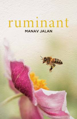 Ruminant