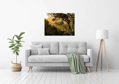 Kalakriti Designer Vinyl Nature Multicolor Wallpaper