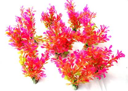 Nitishree 15 CM Baby Small plant set of 10 pic Aquarium Plant Anchor