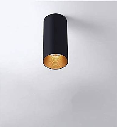 Online Generation 12 Watt Black Body Cylindrical Surface Mounted Spot Light Down Light for Balcony/Room/Hallway (Warm White) (Pack of 1) Recessed Ceiling Lamp
