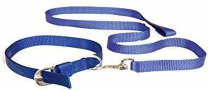 JSKPET Nylon Collar and Leash Set (Size - Medium) for Medium Dogs - Like Labrador, Golden Retriever etc (Color - Blue) Width -1 inch Dog Collar & Leash