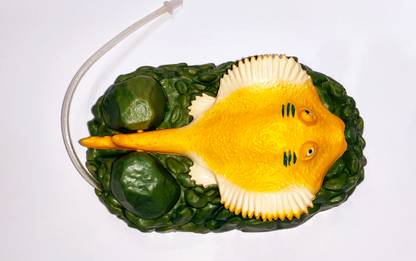 Sadhana Sponge Fetch Toy For Fish