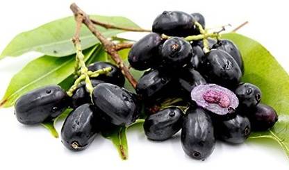 VibeX Jamun Seed