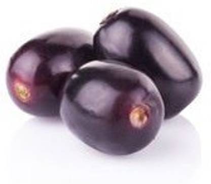 VibeX Syzygium Cumini Seed