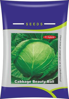 Qualtivate Cabbage Seed