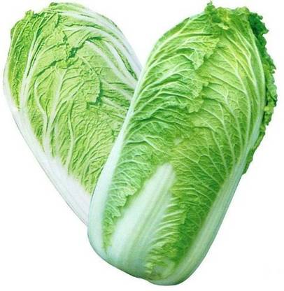 DIOART ™ XXL-376-Green Chinese Cabbage Seeds Seed