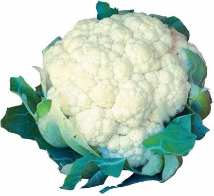 CYBEXIS GUA-83 - Cauliflower - High Yielding - (150 Seeds) Seed