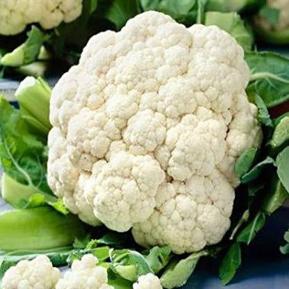DROXTY ™ XII-549-Organic Desi Cauliflower Super Snowball Seeds Seed