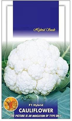 DIOART ™ XII-209-Cauliflower F1 White 55-65 Days Seeds Seed