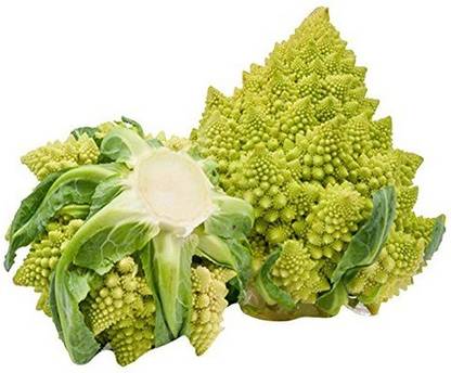 VibeX ™ XII-451-Quick Germination Dutch Pagoda tower cauliflower seeds Seed